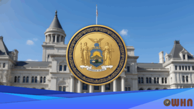 New York Distributes 1,650 Trees For State Program